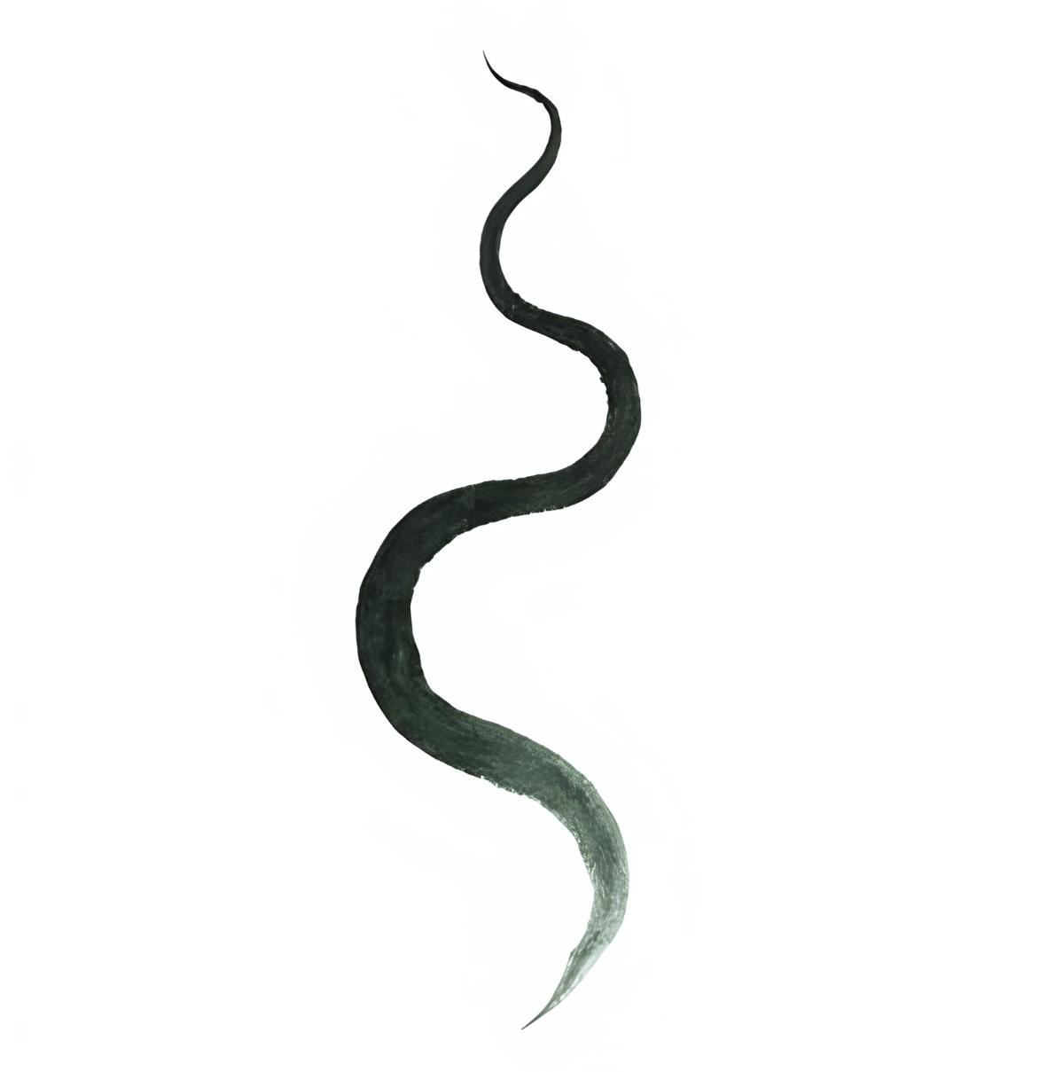list item image